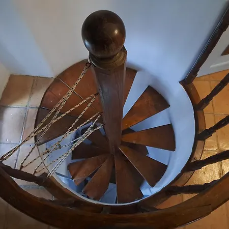 Windmill *